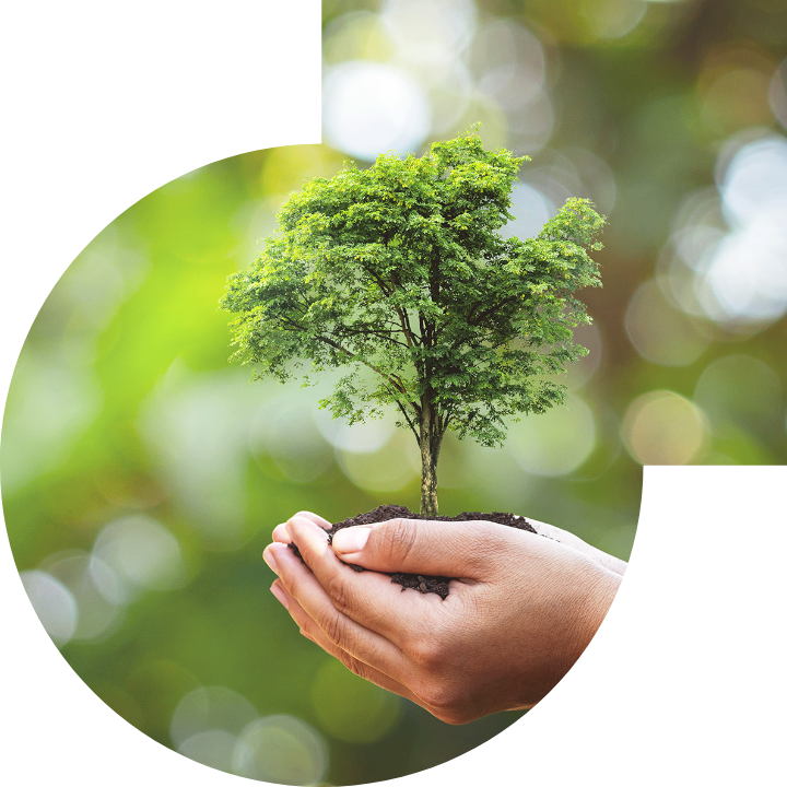 关怀人类、文化、环境与社会